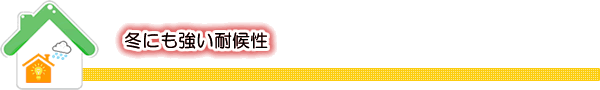 冬にも強い耐性候～ほかにも魅力が一杯